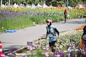 BIB: 
                            <button type="button" onclick="openModal(27794404)" class="btn btn-primary btn-sm float-right btn-popup" data-toggle="modal" data-target=".modal-high-quality">
                        <i class="fas fa-shopping-cart"></i> Add to Cart
                    </button>
                                            <button type="button" onclick="isThisMe(27794404, true)" class="btn btn-success btn-sm float-right btn-popup btn-isme hidden" data-toggle="tooltip" data-placement="bottom" title="นี่คือรูปของคุณใช่ไหม คลิกที่นี่เพื่อเอาเข้าอัลบั้ม">
                        <i class="fas fa-plus"></i> Add to album
                    </button>
                    <button type="button" onclick="isThisMe(27794404, false)" class="btn btn-warning btn-sm float-right btn-popup btn-isnotme hidden">
                        <i class="fas fa-ban"></i> Remove from album
                    </button>